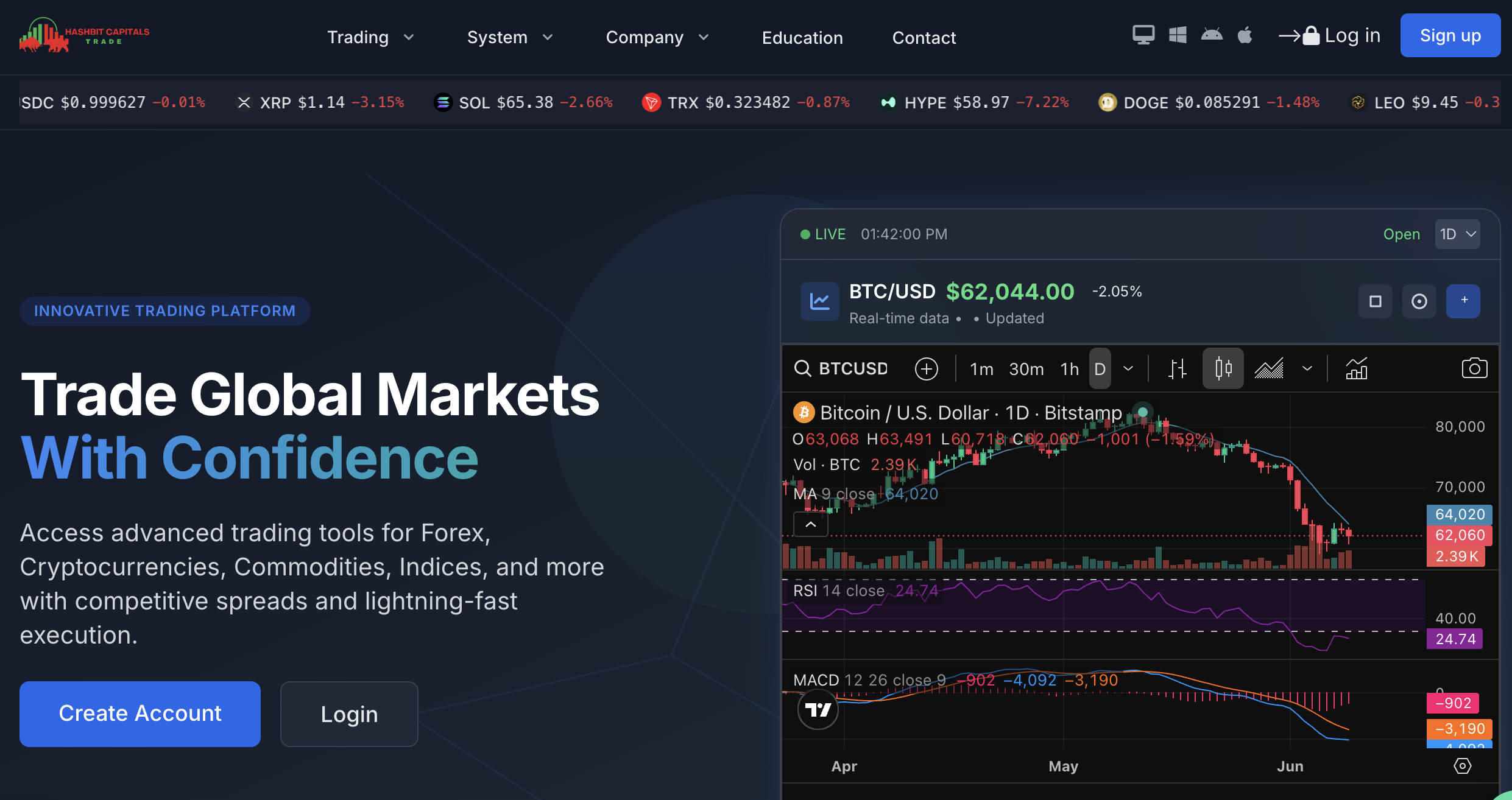 Hashbitcapitals.com Under Scrutiny