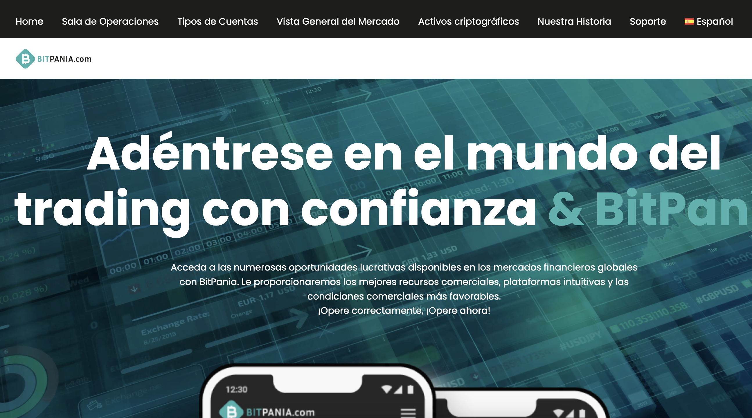A Detailed Review of Bitpania.com