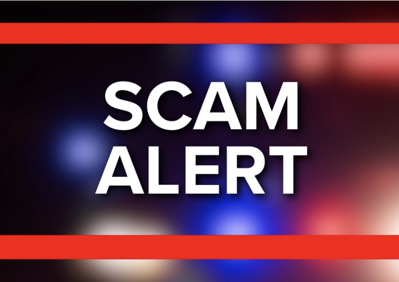 Investigating the Essabit.com Scam Claims