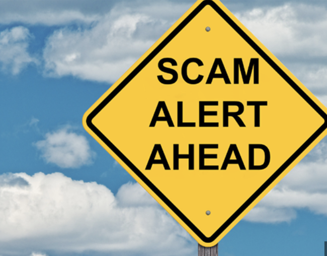 Primecapital.vc / Ellingtonltd.com Scam Review