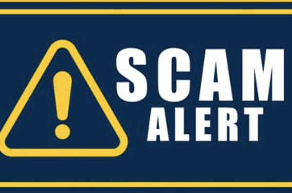 Rineplex.com / Rineplex.co Scam Review